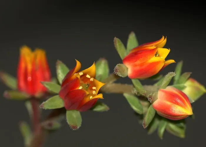 Haus Gabriela איטר